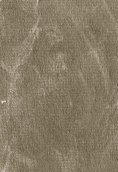 Similar image 258402