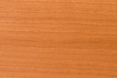 Similar image 258421