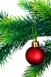 Similar image 258441