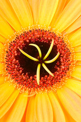 Similar image 258458