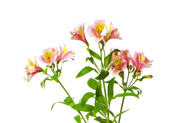 Similar image 258463