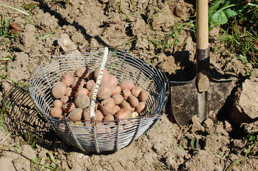 Similar image 258475