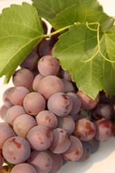 Similar image 258480