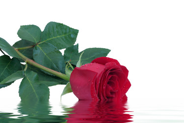 Similar image 258522