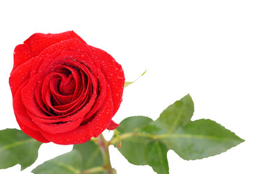 Similar image 258524