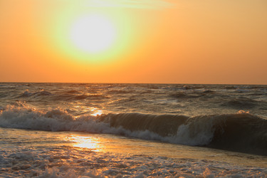 Similar image 258549