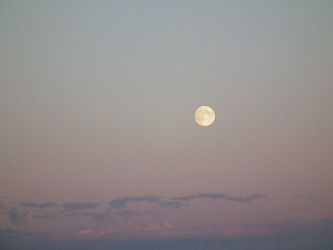 Similar image 258558