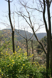 Similar image 258582