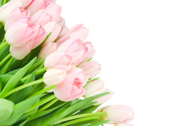 Similar image 258653