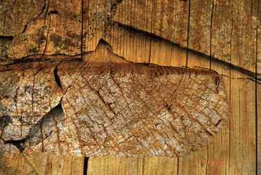 Similar image 258691