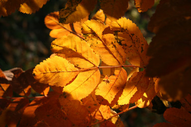 Similar image 258700