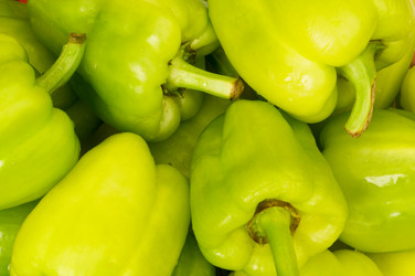 Similar image 258703