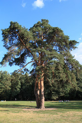 Similar image 258736