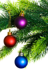 Similar image 258742