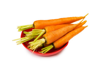 Similar image 258806