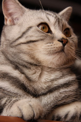 Similar image 258820