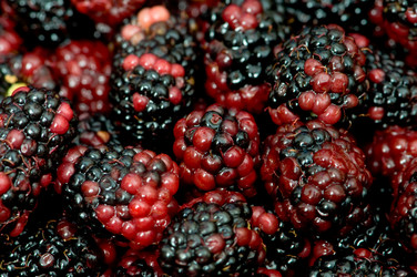 Similar image 258864