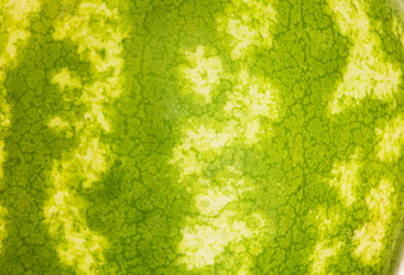 Similar image 258865