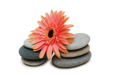 Similar image 258881