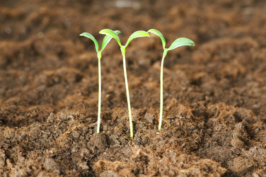 Similar image 258916