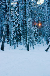 Similar image 258920