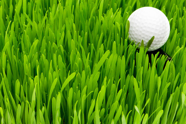 Similar image 258930