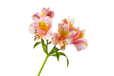 Similar image 258945