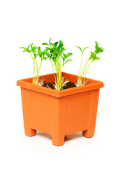 Similar image 258951