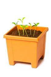 Similar image 258961