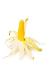 Similar image 258962