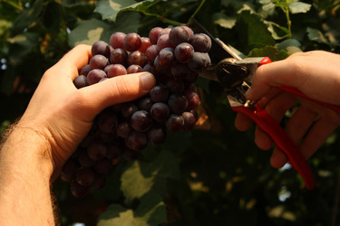 Similar image 258972