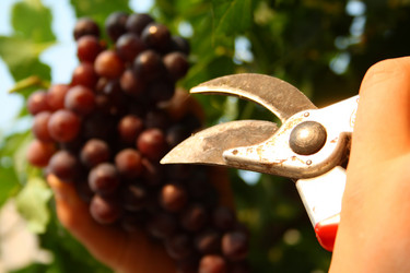 Similar image 258976