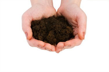 Similar image 258978