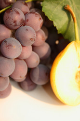 Similar image 258987