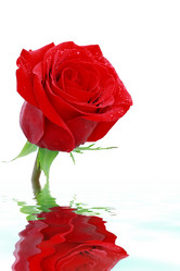 Similar image 258989