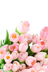 Similar image 259186