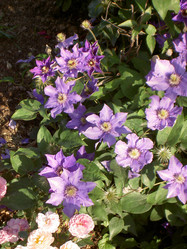 Similar image 259187