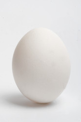 Similar image 259191