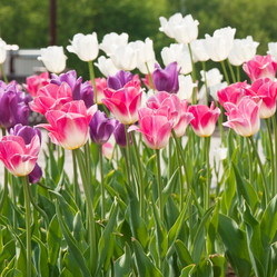 Similar image 259192