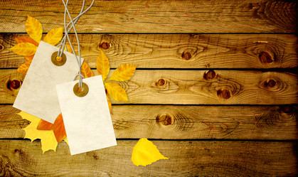 Similar image 259202