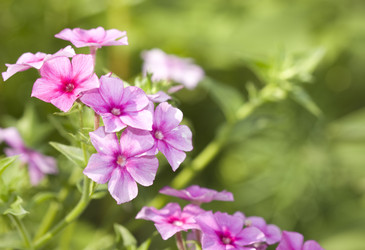 Similar image 259206