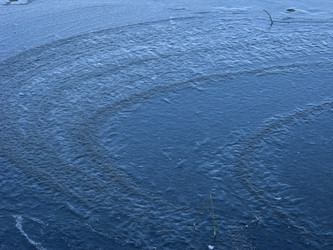 Similar image 259212