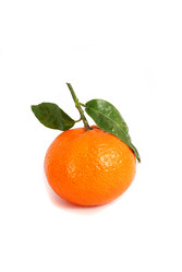 Similar image 259382