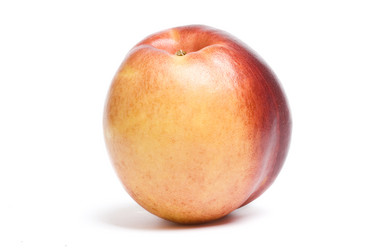 Similar image 259384