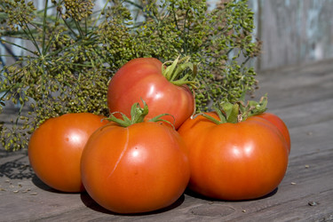 Similar image 259388