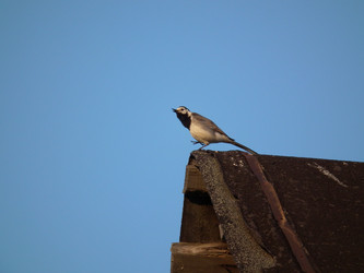 Similar image 259393