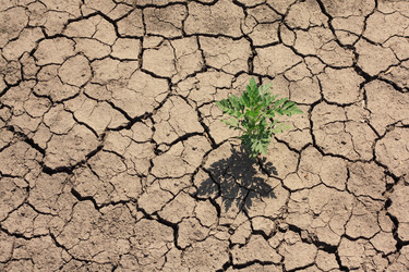 Similar image 259417