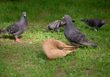 Similar image 259422