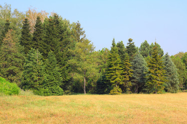 Similar image 259424