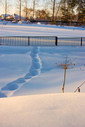 Similar image 259428